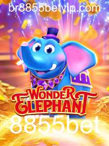 WonderElephant: Descubra o Fascinante Mundo do Novo Jogo